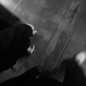 沦为母畜的富豪千金小说
