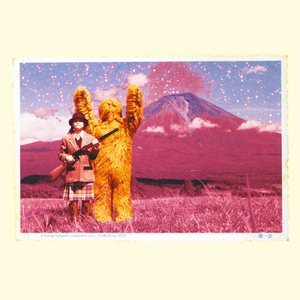 沦为母畜的富豪千金小说
